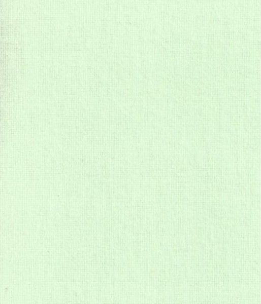 Coton gratté vert d'eau pâle 901 140G/M2